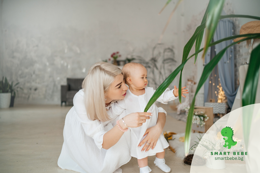 Как да създадеш мини-зелена зона у дома — за дишане, почивка и детска игра